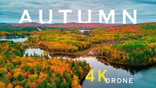 Canadian Autumn 4K Drone Footage [upl. by Statis]