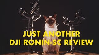 Just another DJI Ronin SC review [upl. by Lomasi328]