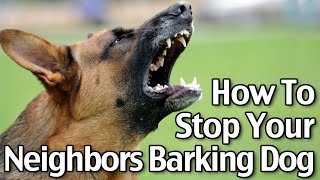 How to Stop Your Neighbors Dog from Barking [upl. by Parsons]