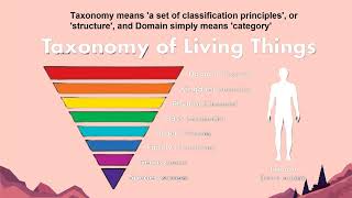 Blooms Taxonomy of Objectives [upl. by Cato]