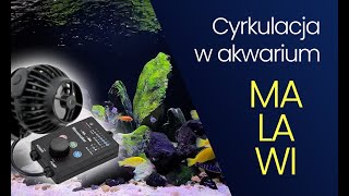 187 Cyrkulacja wody w Malawi  Akwarium  Aquarium  Cichlid tank [upl. by Nemra55]