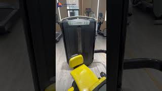 Rotary Torso fitness gym fitnessequipment [upl. by Bodkin636]