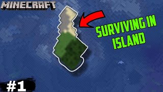 Amazing start to a new series Survival island part 1 Minecraft [upl. by Aicilf50]