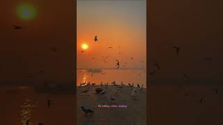 KAAGAJ KE DO PANKH LEKE UDA CHALA JAYE RE B k editing video status editing video [upl. by Robinia579]