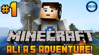 Minecraft  AliAs Adventure 1  quotFALLING SHEEPquot [upl. by Tigram]