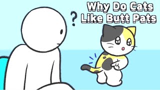 Why Do Cats Like Butt Pats [upl. by Nevets]