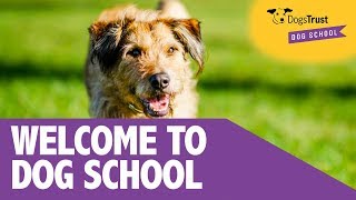 Welcome To Dog School  Dogs Trust Dog School [upl. by Brindle]