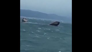 Arvin Ship Vessel splits in two Crash Marine Accident near Turkish coast 6 people lost Rescue [upl. by Ethelinda391]