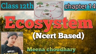 Ecosystem Structure And FunctionPart1Chapter 14NcertClass 12th youtubevideos trendingviral [upl. by Bohman]