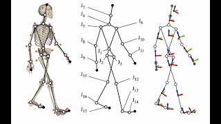 what is biomechanics How can biomechanics be used in sports [upl. by Egamlat707]