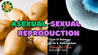 Asexual vs Sexual Reproduction  NEET Biology  Bilingual saitechinfo neet biology [upl. by Farhi]