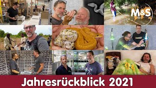 Mein Jahresrückblick 2021  Best of Reptil TV  Stefan Broghammer [upl. by Sabas597]