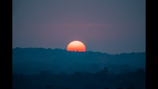 Sun sets behind trees in Tsingy area of Madagascar madagascar sunsets [upl. by Melisse]