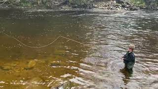 6 year old first time fly fishing scotland river Ardle in Blairgowrie [upl. by Agatha]