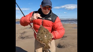 Spring Beach Fishing for BIG Flounders  Rigs Hints and Tips  Cambois  Northumberland [upl. by Lareneg833]