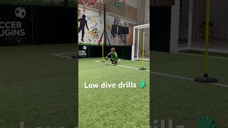 Goalkeeper low dive drills The hard work never stops goalkeeper football goalie goaliedrills [upl. by Alroi560]