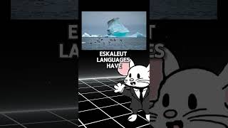 Why is Greenlandic So Interesting shorts viral languages [upl. by Obau578]