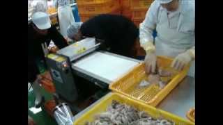 High speed cutting machine Slice loligo squid cuttlefish [upl. by Popper]