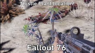 Where to find Thistle Fallout 76 [upl. by Palua]