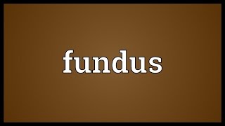 Fundus Meaning [upl. by Caryn]