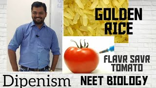 GOLDEN RICE  FLAVR SAVR TOMATO  ANTISENSE RNA technology Biotechnology Application NEET Dipenism [upl. by Gradey885]