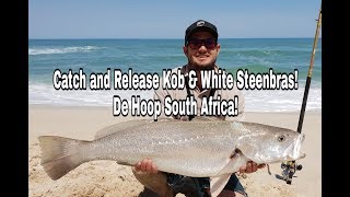 ZLF Fishing De Hoop Part 2  Catching Kob and White Steenbras [upl. by Ytirahs]