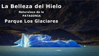 La Belleza del Hielo  Parque Nacional Los Glaciares  Naturaleza de la Patagonia [upl. by Nivel852]