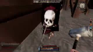 Mortal online PvP footage 5 [upl. by Ssac48]