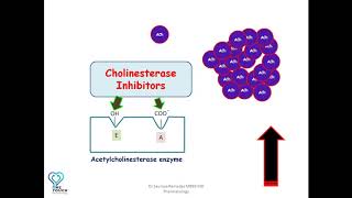 MOA of Cholinesterase inhibitorsAnticholinesterases edrophonium neostigmine  Organophosphates [upl. by Erehc]