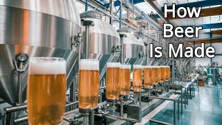 How BEER is Made Inside a BEER Factory [upl. by Zetnahs]