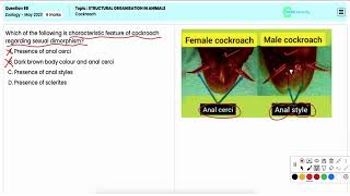 Q88 Understanding Cockroach Anatomy  NEET 2023 Structural Organisation [upl. by Keeton]