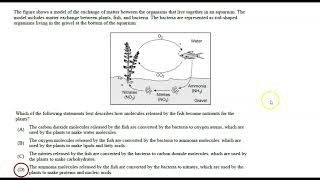 AP Bio Unit 1 Topic Questions Review [upl. by Zilevi319]