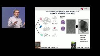 Jason Underwood Single cell isoform sequencing scIsoSeq identifies novel fulllength mRNAs [upl. by Latreshia]