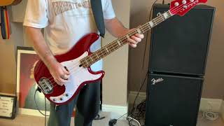 Identity X Ray Spex Brief Bass Guitar Lesson And Cover By The Bass Punk [upl. by Notak]