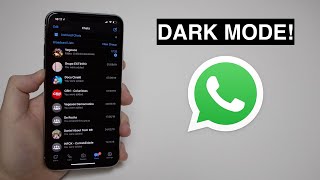 DARK MODE in WhatsApp How to Enable It [upl. by Betty]