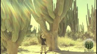 Cardón  Pachycereus pringlei  Saguaro  Carnegiea gigantea  sahuaro [upl. by Blossom]