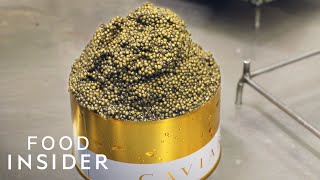 Inside Europes Biggest Caviar Farm  Regional Eats  Insider Food [upl. by Eerehs]