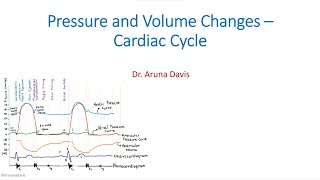 Pressure and Volume Changes – Cardiac Cycle  Wiggers Diagram [upl. by Schach]