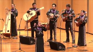 2014 Texas State High School Mariachi Competition McAllen HS [upl. by Gitel496]