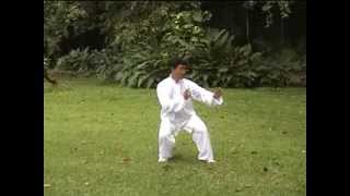 Taiji Quan Chen style Master Wen [upl. by Haynor]