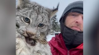 Farmer lectures a lynx after it attacked his chicken coop in British Columbia [upl. by Cullie]