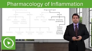 Pharmacology of Inflammation – Pharmacology  Lecturio [upl. by Dollar]