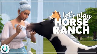 Horse Ranch Lets Play 🐴🌾 The Sims 4 Horse Ranch [upl. by Tolliver19]