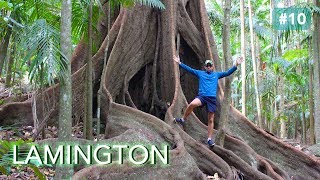 LE PARC NATIONAL DE LAMINGTON AUSTRALIE [upl. by Ralaigh]