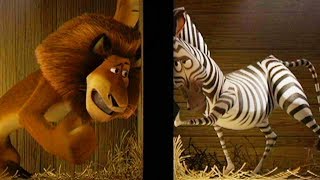 DreamWorks Madagascar  Martys Escape  Madagascar Movie Clip [upl. by Phoebe225]