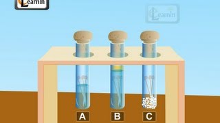 Corrosion and rust Science [upl. by Nitnilc]