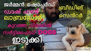 dog farm idukki  Aldrin kennel idukki  best dog farm best​ kennel in kerala  dog breeding farm [upl. by Kerad]