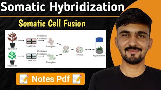 Somatic Hybridization  Somatic Cell Fusion  By Dadhich Sir [upl. by Rico]