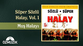 Muş Halayı  Süper Sözlü Halay Vol 1 Official Audio [upl. by Whitcher]