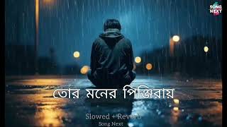 Tor Moner Pinjiray  Song Next Slowed And Reverb  BENGALI LOFI [upl. by Enialahs]